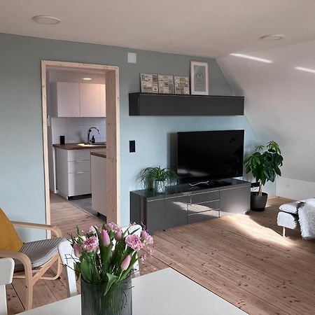 Ferienwohnung Weitblick Bad Schussenried Luaran gambar